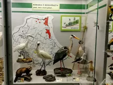 Museo Civico di Ecologia e Centro Visitatori “Mirco Bravaccini"