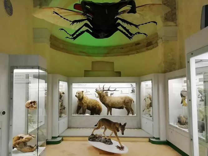 Museo Civico di Ecologia e Centro Visitatori “Mirco Bravaccini"
