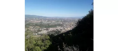 Bosco Sacro di Monteluco