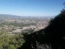 Bosco Sacro di Monteluco