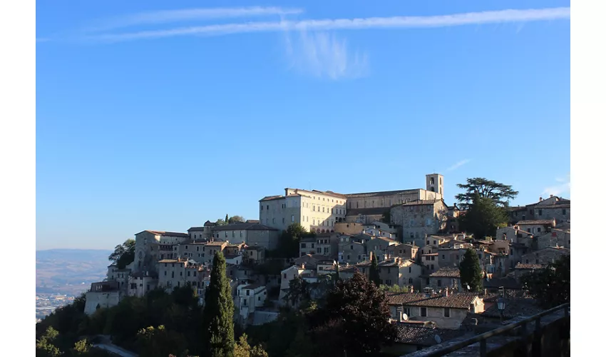 Monastero delle Lucrezie e Museo lapidario