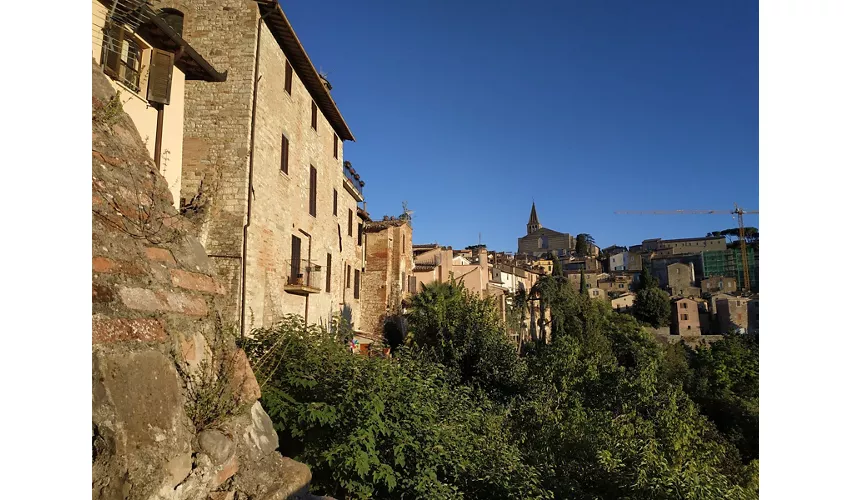 Monastero delle Lucrezie e Museo lapidario