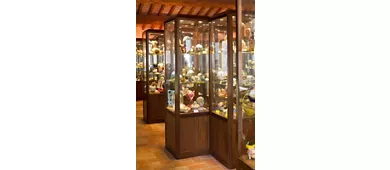 Museo Ovo Pinto