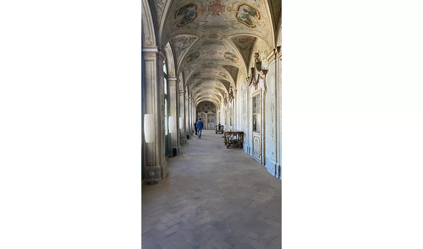 Palazzo Collicola - Galleria d'Arte Moderna G. Carandente e Appartamento Nobile