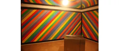 Palazzo Collicola - Galleria d'Arte Moderna G. Carandente e Appartamento Nobile
