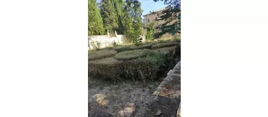 Villa Paolina