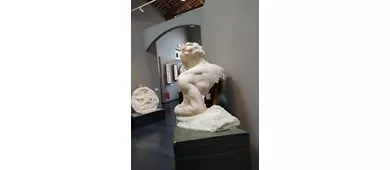 MusA