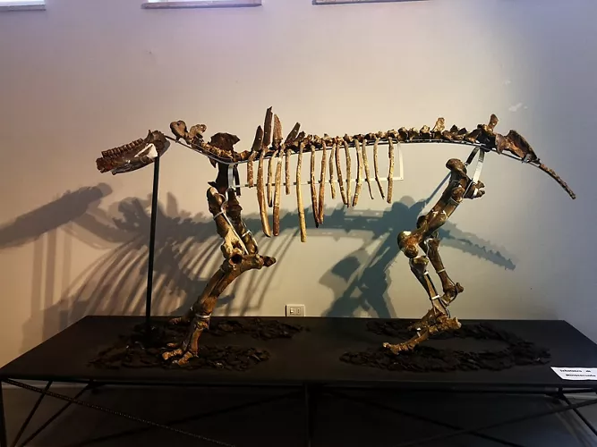 Museo Paleontologico Luigi Boldrini Pietrafitta