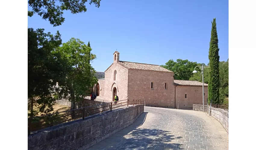 Der Wald des Heiligen Franziskus