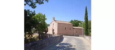 Der Wald des Heiligen Franziskus