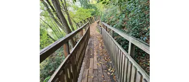 Der Wald des Heiligen Franziskus