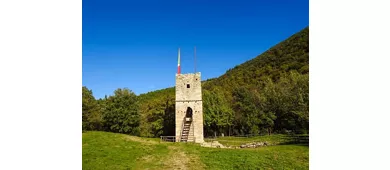 Der Wald des Heiligen Franziskus