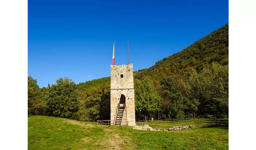 Bosco di San Francesco