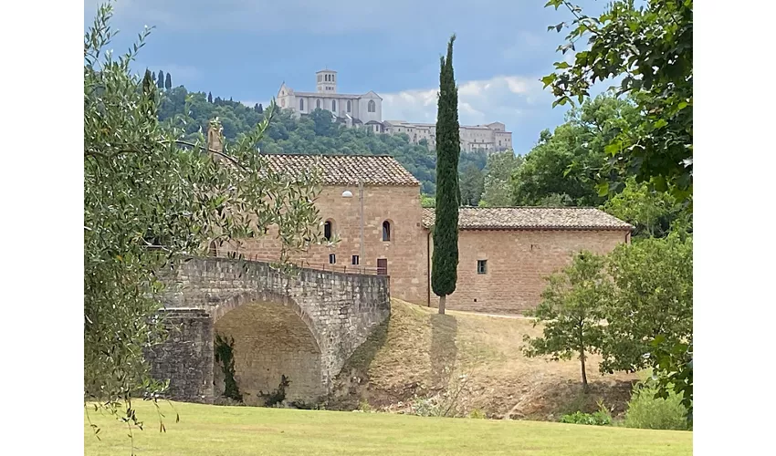 Der Wald des Heiligen Franziskus