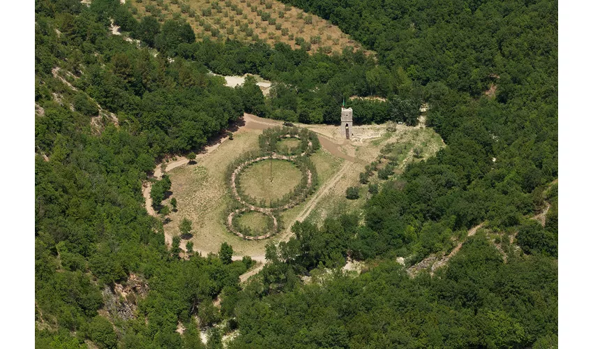 Der Wald des Heiligen Franziskus