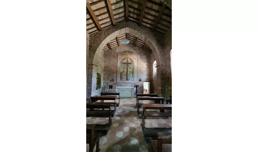 Bosco di San Francesco