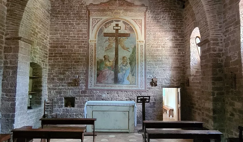 Bosco di San Francesco