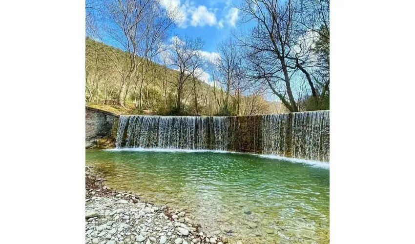 Der Wald des Heiligen Franziskus