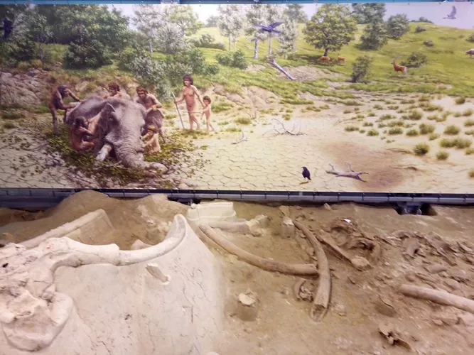 Cimitero degli Elefanti Antichi Polledrara di Cecanibbio