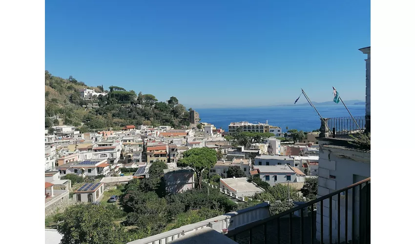 Villa Arbusto