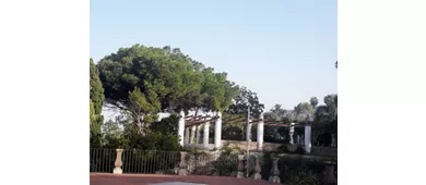 Villa Arbusto