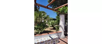 Villa Arbusto
