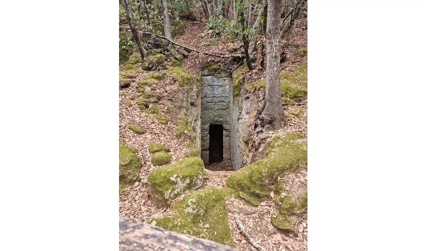 Parque arqueológico de Baratti y Populonia