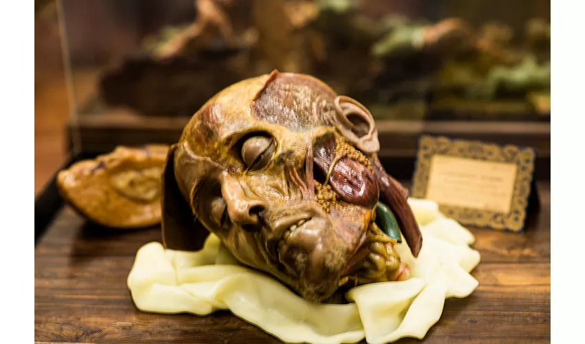 Naturkundemuseum – La Specola