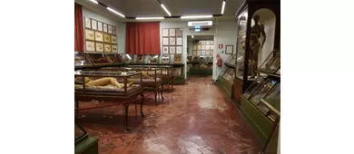 Musée d'histoire naturelle - La Specola