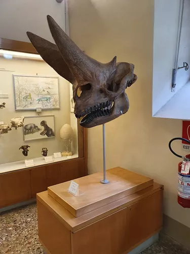 Museo di Geologia e Paleontologia - Università di Firenze