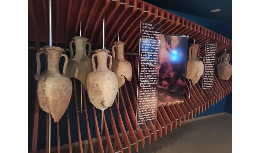 MAPS - Museo Archeologico del Portus Scabris