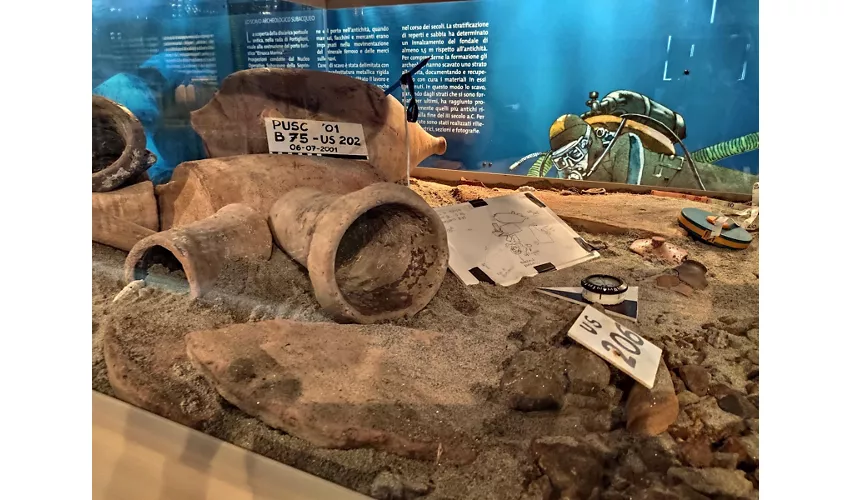 MAPS - Museo Archeologico del Portus Scabris