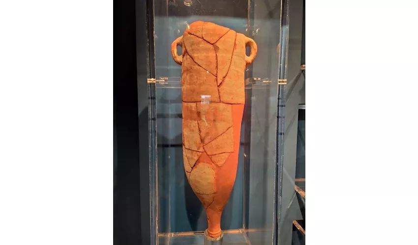 MAPS - Museo Archeologico del Portus Scabris