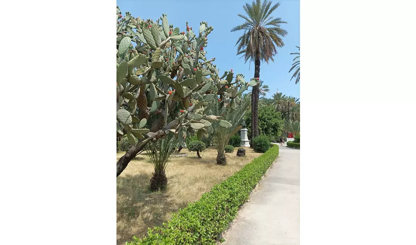Villa Bonanno