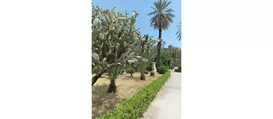 Villa Bonanno