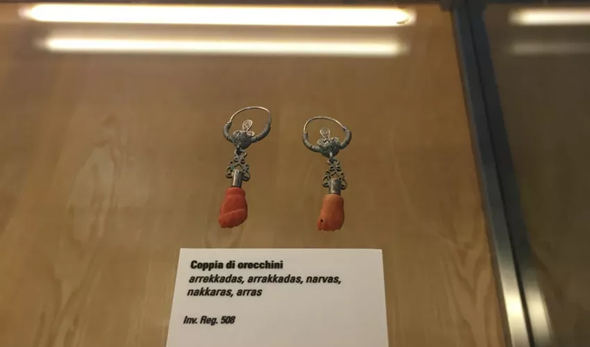Museo Etnografico Regionale - Collezione Luigi Cocco