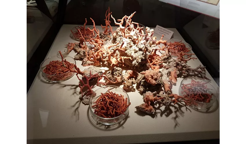 Korallenmuseum von Alghero
