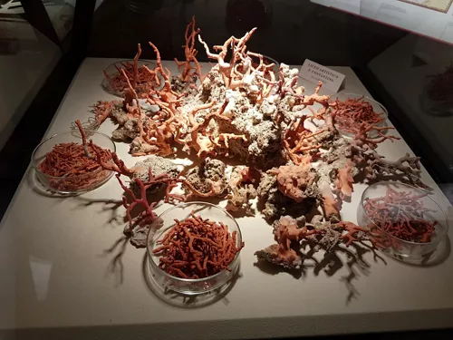 Museo del Corallo di Alghero