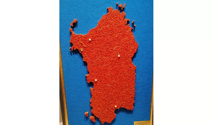 Korallenmuseum von Alghero