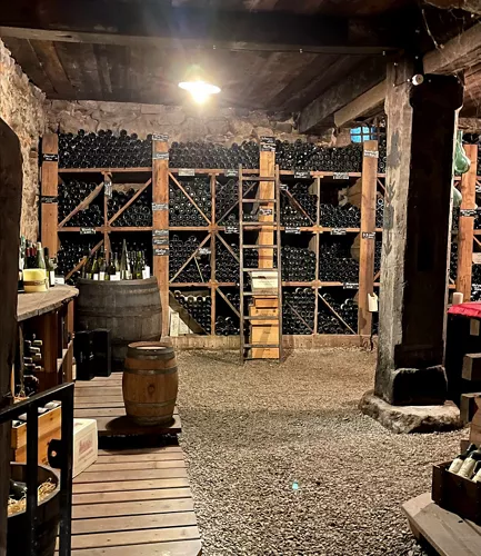 Castello Rametz - Wine Museum