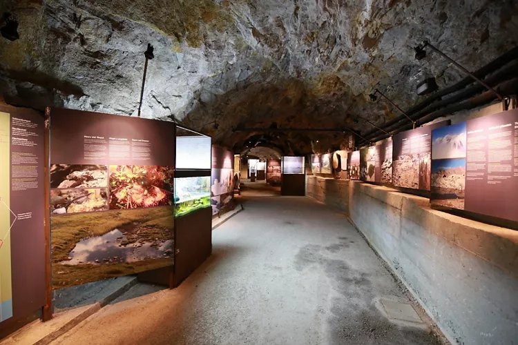 MuseumHinterPasseier - Bunker Mooseum