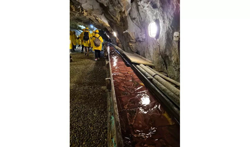 Musée provincial des mines - Predoi