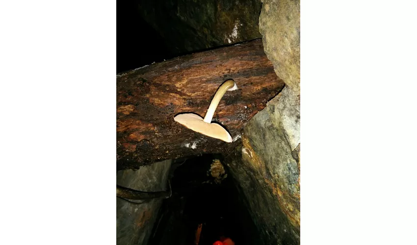 La mine de Villandro