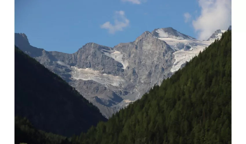 Centro visitatori Parco Nazionale Gran Paradiso - Tutelattiva laboratorio Parco
