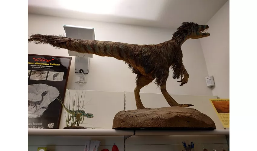Museo Sisàn