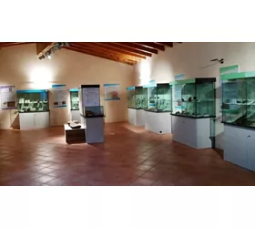 Oppidum degli Orobi
