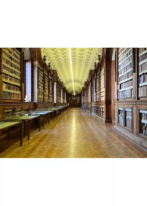 Bibliothèque Palatine