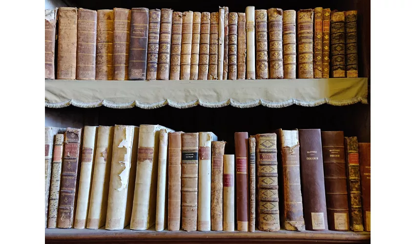 Bibliothèque Palatine