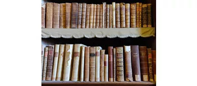 Bibliothèque Palatine