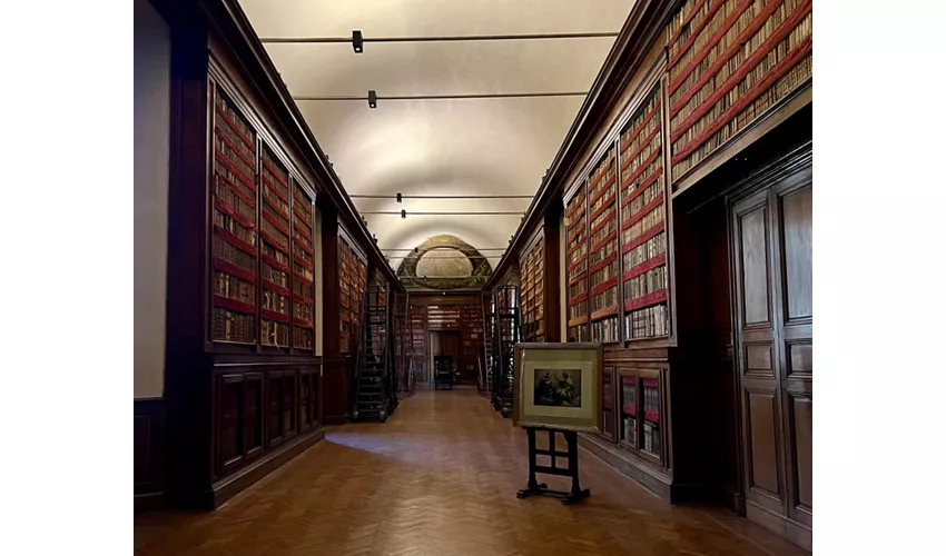 Bibliothèque Palatine